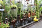 Travelnews.lv kopā ar «365 brīvdienas» un «Turkish Airlines» iepazīst tropu botānisko dārzu «Nong Nooch Tropical Garden» 7
