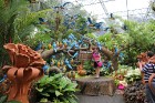 Travelnews.lv kopā ar «365 brīvdienas» un «Turkish Airlines» iepazīst tropu botānisko dārzu «Nong Nooch Tropical Garden» 9