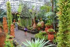 Travelnews.lv kopā ar «365 brīvdienas» un «Turkish Airlines» iepazīst tropu botānisko dārzu «Nong Nooch Tropical Garden» 25