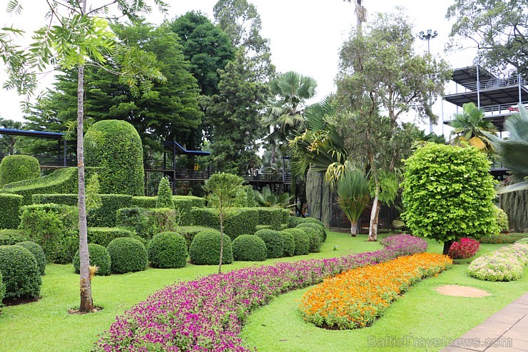 Travelnews.lv kopā ar «365 brīvdienas» un «Turkish Airlines» iepazīst tropu botānisko dārzu «Nong Nooch Tropical Garden» 208864