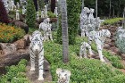 Travelnews.lv kopā ar «365 brīvdienas» un «Turkish Airlines» iepazīst tropu botānisko dārzu «Nong Nooch Tropical Garden» 29