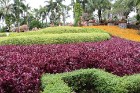 Travelnews.lv kopā ar «365 brīvdienas» un «Turkish Airlines» iepazīst tropu botānisko dārzu «Nong Nooch Tropical Garden» 78