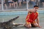 Travelnews.lv kopā ar «365 brīvdienas» un «Turkish Airlines» apmeklē Pataijas čūsku un krokodilu fermu 37