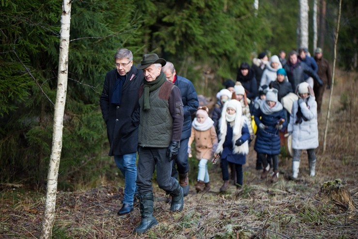 Izvēlētas Rīgas galvenās Ziemassvētku egles