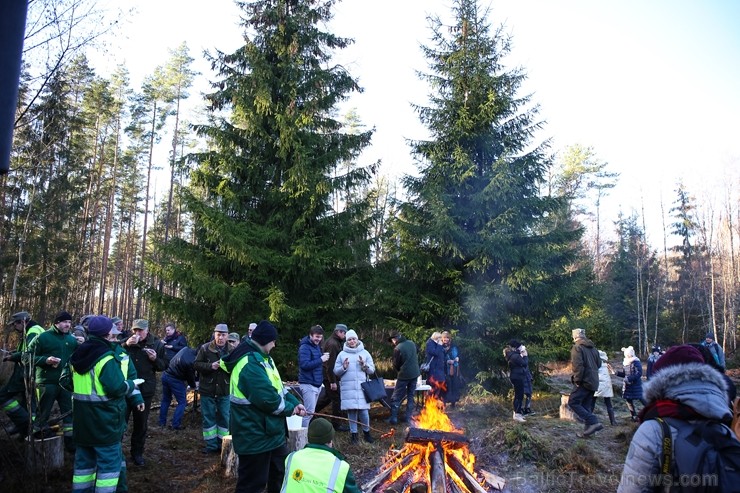 Izvēlētas Rīgas galvenās Ziemassvētku egles