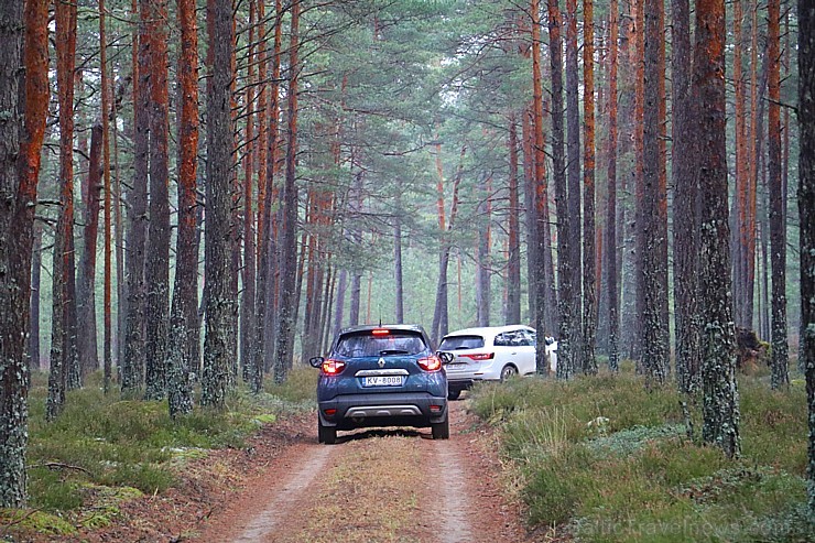 Travelnews.lv meža ceļos iepazīst trīs vāģus - Renault Captur, Renault Koleos un Renault Kadjar 211545