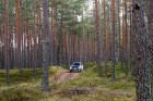 Renault krosoveri dodas Latvijas mežu ceļos. Foto: Gints Ivuškāns 15