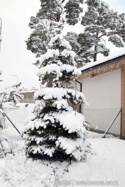 Ventspils «Lemberga hūtē» bauda sniegu, bet gaida salu, lai tas varētu noturēties