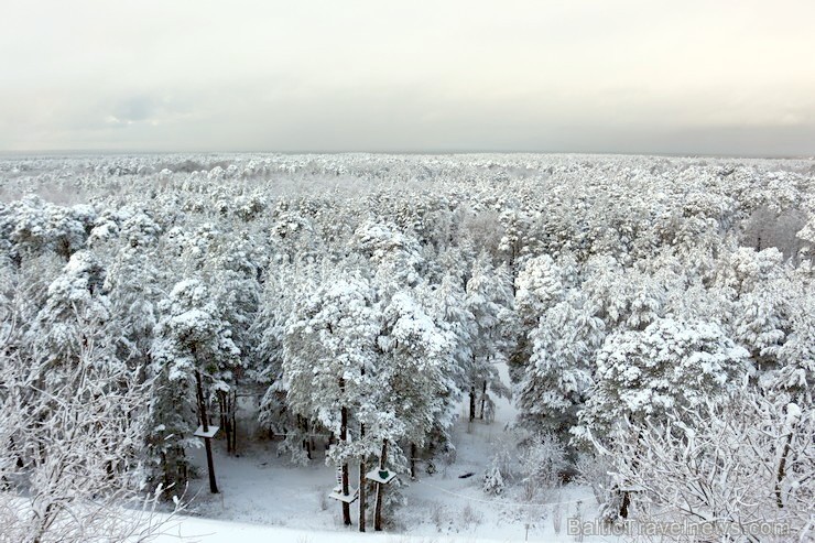 Ventspils «Lemberga hūtē» bauda sniegu, bet gaida salu, lai tas varētu noturēties 212878