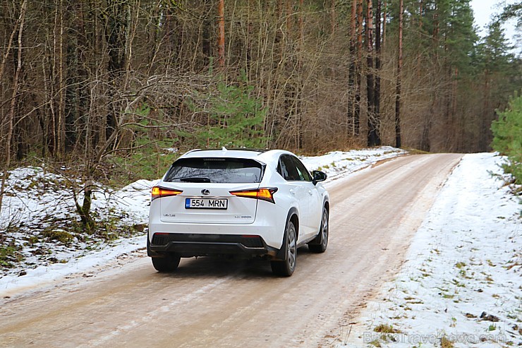 Travelnews.lv ar jauno krosoveru Lexus NX 300H ceļo uz Ungurmuižu 212990