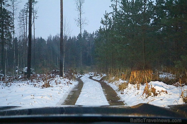 Travelnews.lv dodas pēc Ziemassvētku eglītes mežā ar jauno BMW X3 xDrive20d 213630