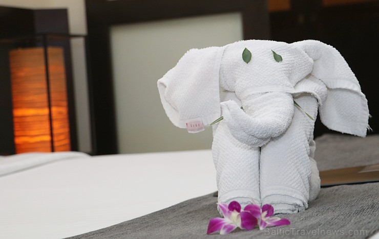 Travelnews.lv kopā ar «365 brīvdienas» un «Turkish Airlines» iepazīst «Panwa Boutique Beach Resort» Taizemes Puketas salā Travelnews.lv kopā ar «365 brīvdienas» un «Turkish Airlines» iepazīst «Panwa Boutique Beach Resort» Taizemes Puketas salā 213819