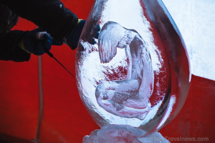 Jelgavā tapušas pirmās 30 ledus skulptūras 215937