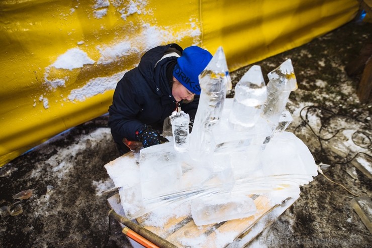 Jelgavā tapušas pirmās 30 ledus skulptūras 215942
