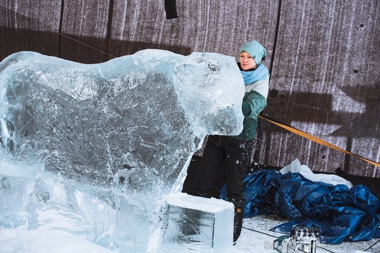 Jelgavā tapušas pirmās 30 ledus skulptūras 215952