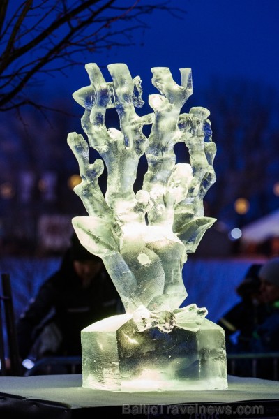 Aizvadīts Starptautiskais Ledus skulptūru festivāls 216543