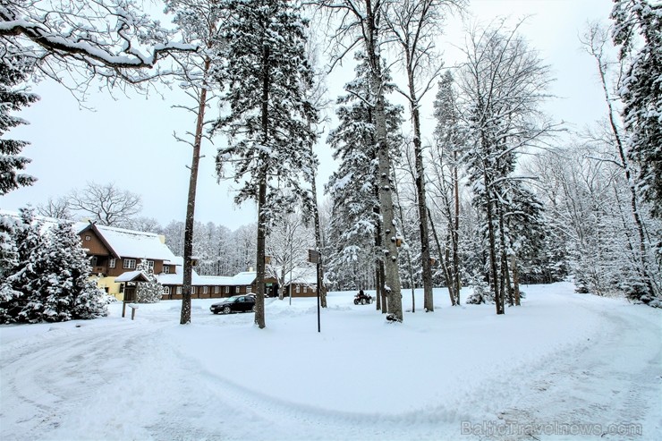 Jūrmalā apskatāmi burvīgi ziemas skati