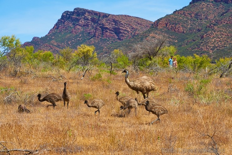 Iepazīsti krāšņos Dienvidaustrālijas plašumus. Foto: South Australian Tourism Commission 219942