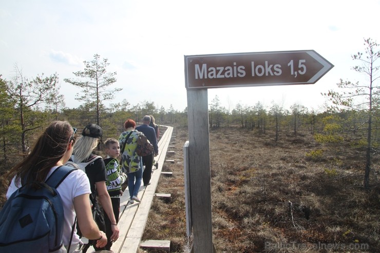 Travelnews.lv kopā ar «Dabas Sporta Zāli» dodas pārgājienā pa Ķemeru Nacionālo parku