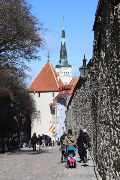 Tallinas pilsētas torņi pievilina ārvalstu ceļotājus. Atbalsta: Hotel Schlössle