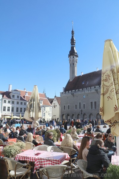 Tallinas vasaras kafejnīcas veras vaļā kā pavasara sniegpulkstenīši. Atbalsta: Hotel Schlössle