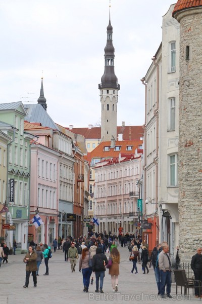 Travelnews.lv kopā ar Tallinas tūristiem iepazīst Igaunijas galvaspilsētu. Atbalsta: Hotel Schlössle 221366