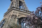 Travelnews.lv ar acīm izbauda Parīzes mazās detaļas 17