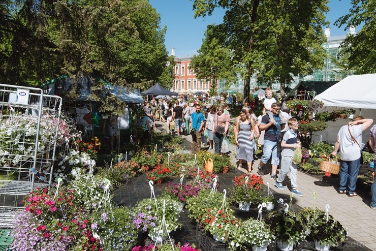 Jelgavas pilsētā notiek Latvijas Stādu dienas