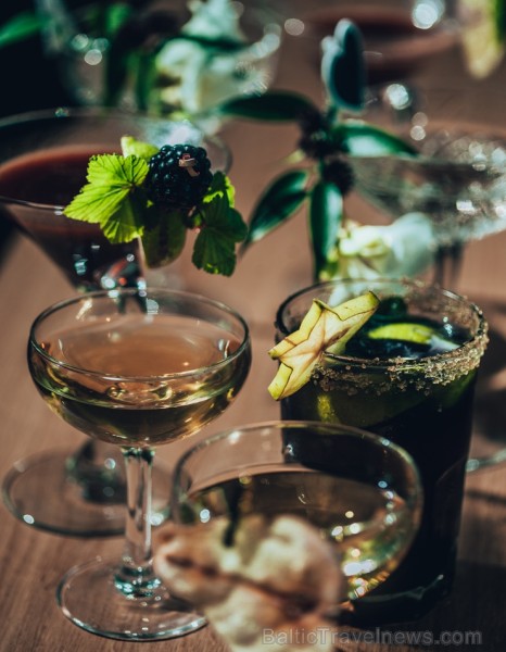 Latgales labākie bārmeņi tiekas Daugavpilī - konkursā «Fantasy cocktail 2018» 223011