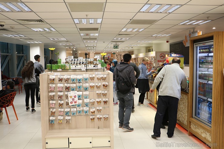 Travelnews.lv apmeklē Konjas taureņu māju «Konya Tropical Butterfly Garden». Atbalsta: Turkish Airlines 223766