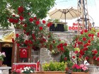 Sille ir romantiska vieta, kurā atrodas rožu ieskautas ielu kafejnīcas, senas ēkas, alu tempļi, kā arī Laika muzejs ar seno laiku pulksteņiem 36