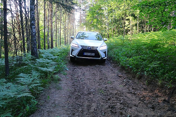 Travelnews.lv ar jauno 7-vietīgo «Lexus RX 450hL» apceļo Jelgavu, Jūrmalu, Talsus un Rīgu 224734