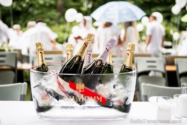 Jau ceturto gadu Rīgā notiek baltais pop-up pikniks «L’elegante Pop-Up Picnic» 227892