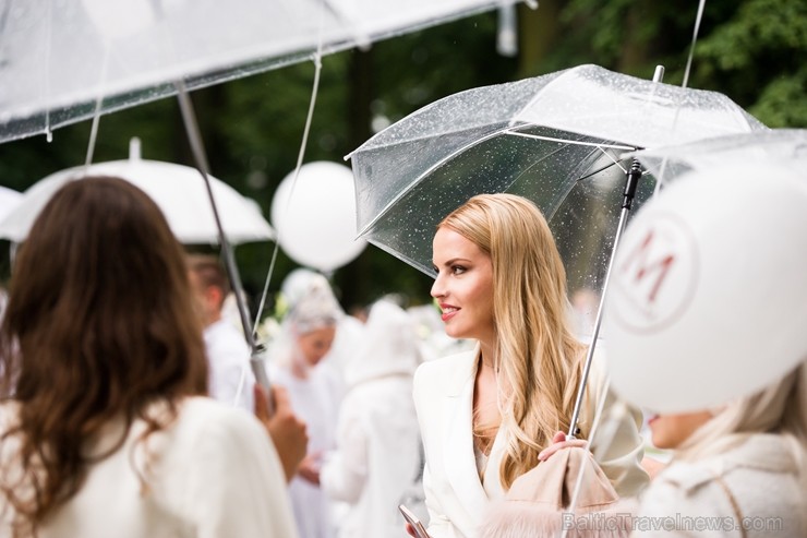 Jau ceturto gadu Rīgā notiek baltais pop-up pikniks «L’elegante Pop-Up Picnic»