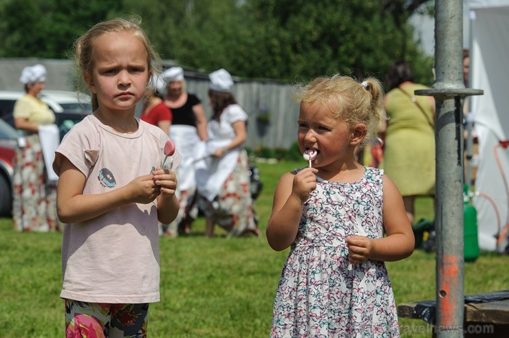 Zaubē tiek aizvadīts savvaļas kulinārais festivāls 228381