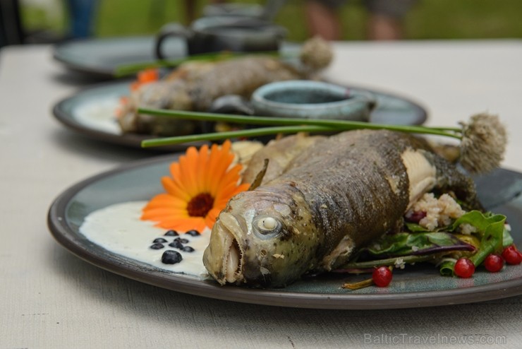 Zaubē tiek aizvadīts savvaļas kulinārais festivāls 228423