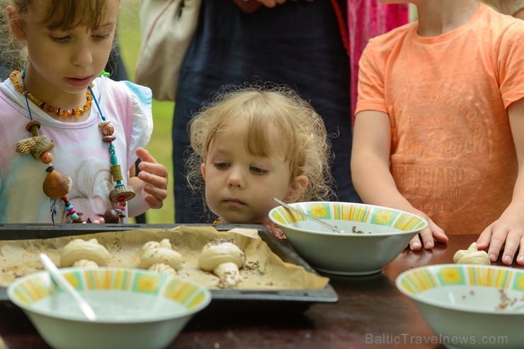 Zaubē tiek aizvadīts savvaļas kulinārais festivāls 228449