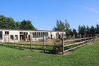 Travelnews.lv apmeklē strausu fermu «Mazzariņi» Jelgavas novadā. 4