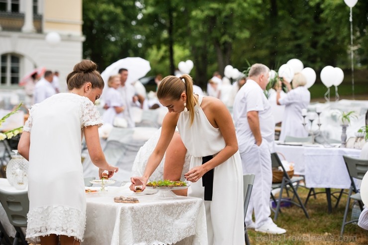 Mežotnes pils parkā ap 500 viesu pulcējas baltajā piknikā 230588