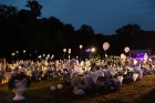 Mežotnes pils parkā ap 500 viesu pulcējas baltajā piknikā 58