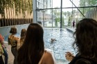 «Hotel Jurmala SPA» atklāj rekonstruēto saunu un baseinu centru «Wellness Oasis» 89