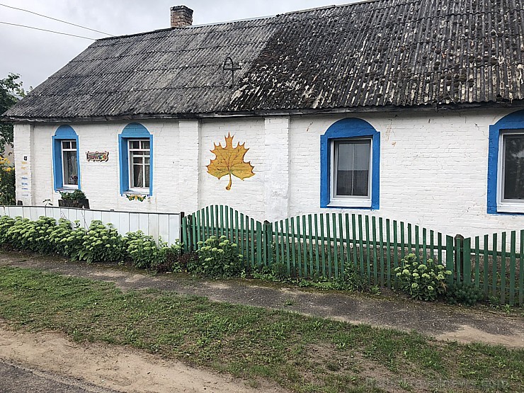 Arī neliela kļavas lapa var krāsot namu un dzīvi 233826