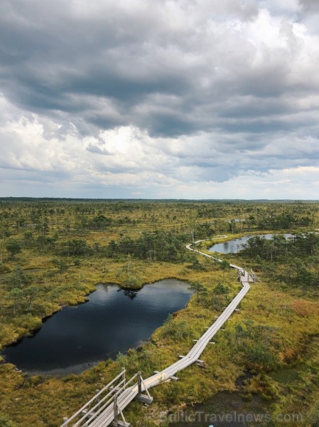 Ar kādām acīm ārzemju blogeri iepazīst burvīgo Kurzemes dabu. Foto: Sibilla Šlēgelmilha 234070