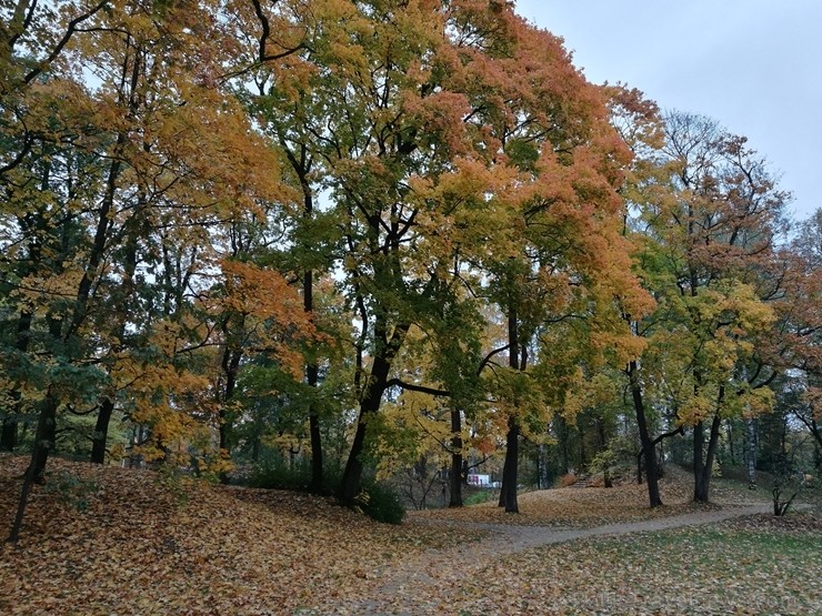 Rīgas parki un dārzi pārklājas rudens zeltā