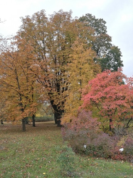 Rīgas parki un dārzi pārklājas rudens zeltā