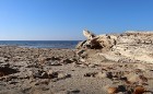 Travelnews.lv apmeklē dabas parku «Piejūra» un Carnikavas pludmali 18