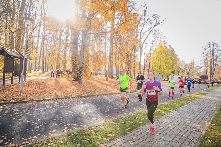 Skriešanas seriāla «Bigbank Skrien Latvija» noslēgums vairāk kā 3000 Siguldas pusmaratona dalībniekiem paliks atmiņā kā zelta rudens tā viskrāšņākajā  235151