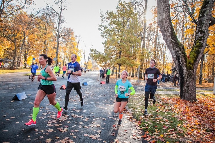 Skriešanas seriāla «Bigbank Skrien Latvija» noslēgums vairāk kā 3000 Siguldas pusmaratona dalībniekiem paliks atmiņā kā zelta rudens tā viskrāšņākajā  235152