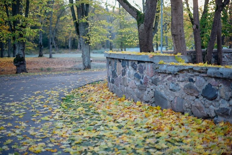 Latvijas un ārvalstu iedzīvotāju ķert zelta lapu mirkļus, atspoguļojot brīnišķīgi krāšņo rudeni. Foto no Siguldas novada pašvaldības vizuālo materiālu 235220