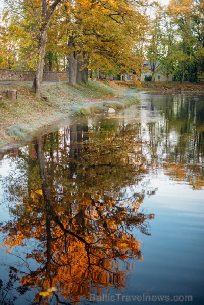 Latvijas un ārvalstu iedzīvotāju ķert zelta lapu mirkļus, atspoguļojot brīnišķīgi krāšņo rudeni. Foto no Siguldas novada pašvaldības vizuālo materiālu